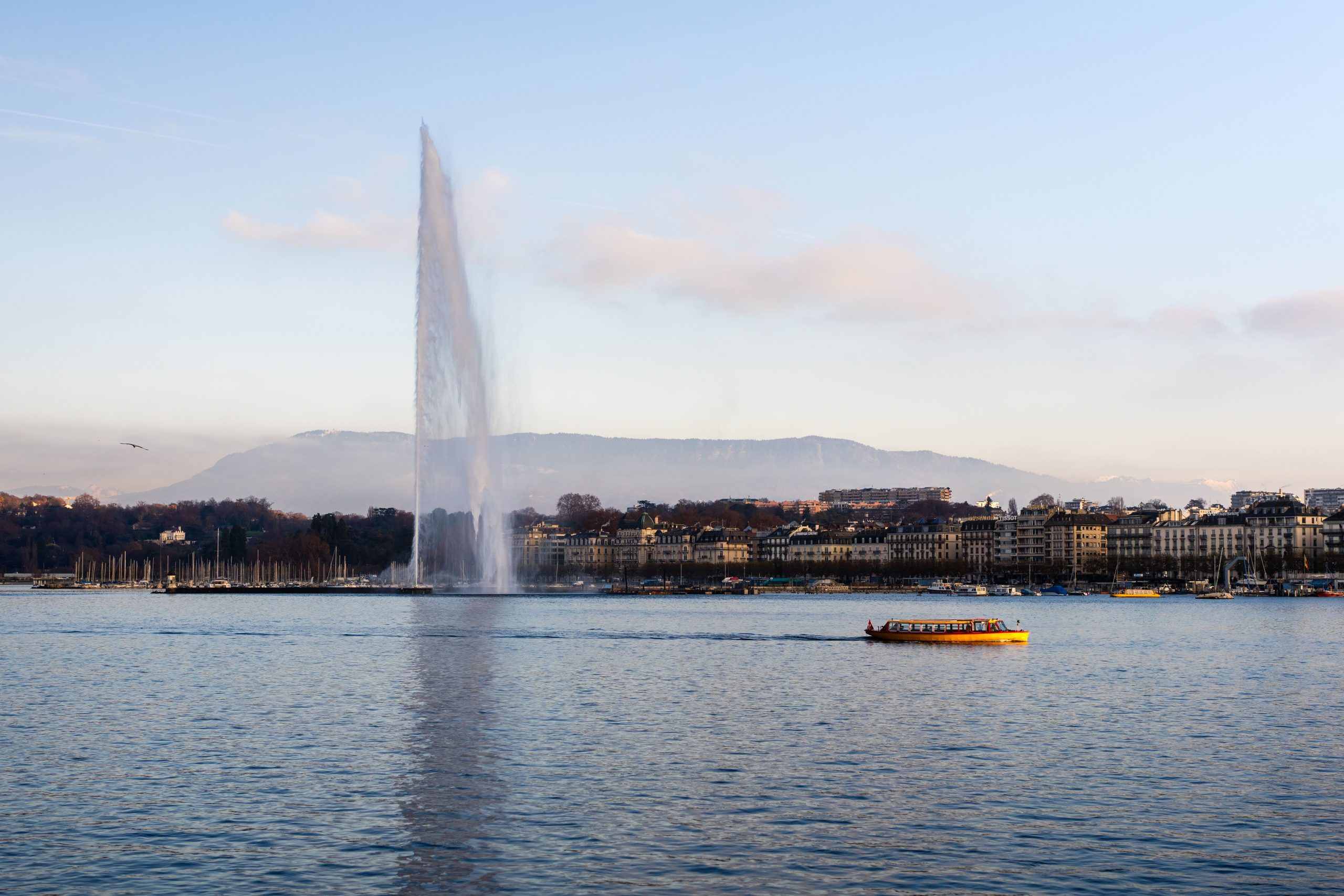 Rade-de-Geneve-en-hiver-scaled